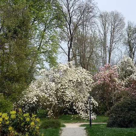 Festetich Kastelyszallo Es Zsuzsanna