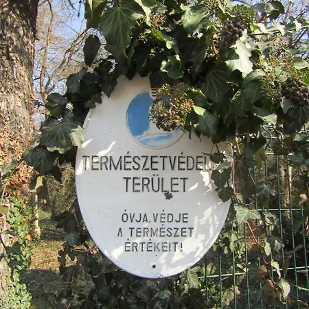 Hotell Festetich Kastelyszallo Es Zsuzsanna Szeleste