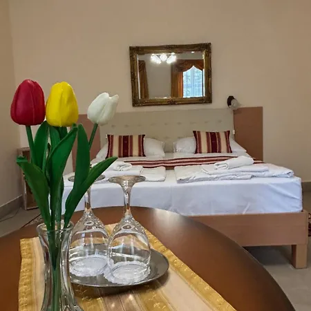 Szálloda Festetich Kastélyszálló és Zsuzsanna 3*