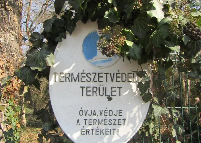 Hotel Festetich Kastelyszallo Es Zsuzsanna Szeleste
