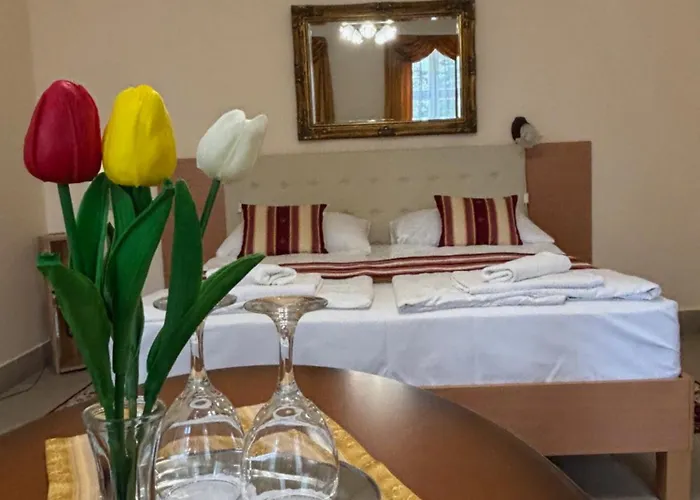 Hotel Festetich Kastelyszallo Es Zsuzsanna 3*